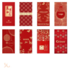 custom money packet printing