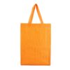 A4 non-woven bag for exhibitions