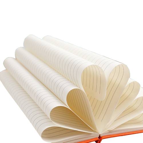 Branded custom diary for corporate gifts and event giveaways