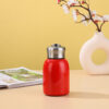 Mini Thermos Bottle Malaysia – ideal for corporate gifts and giveaways