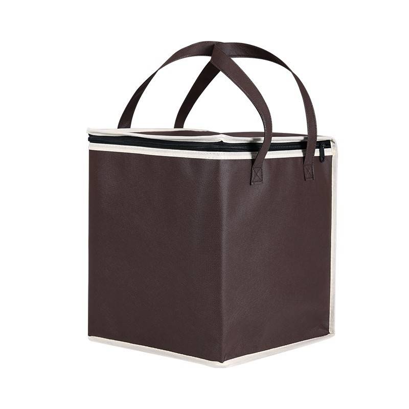 beverage cooler bag insulated