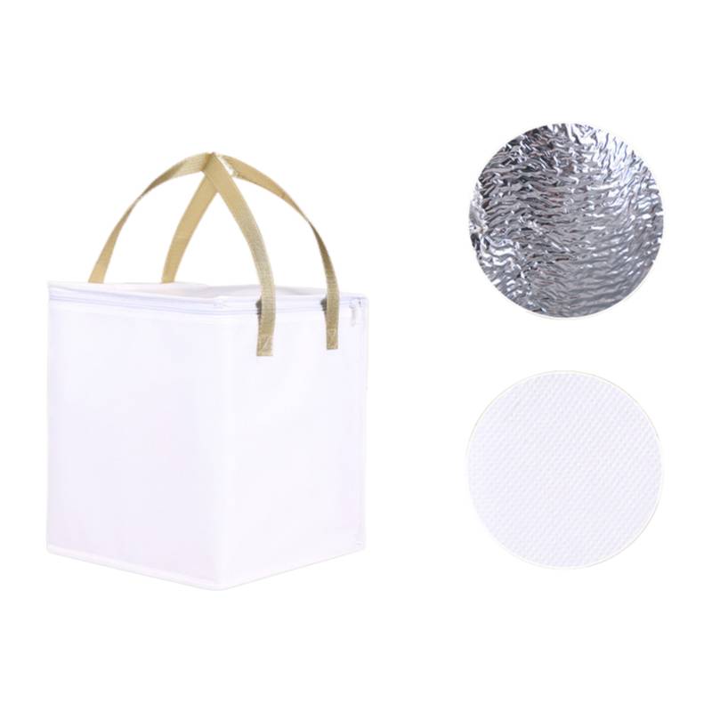 reusable insulated cooler bag