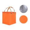 cafe takeaway cooler bag