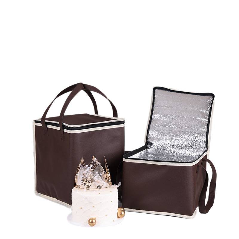 food delivery cooler bag