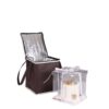 takeaway insulated cooler bag