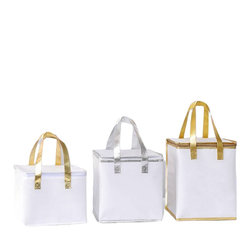 insulated cooler bag Malaysia