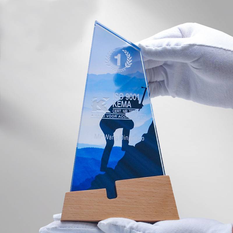 Custom Trophy Malaysia – elegant crystal award for corporate recognition