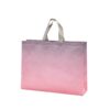 Laminated non-woven bag for bulk orders