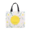 Eco-friendly laminated non-woven bag