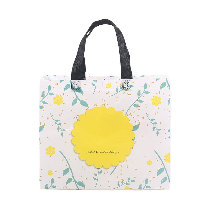 Eco-friendly laminated non-woven bag