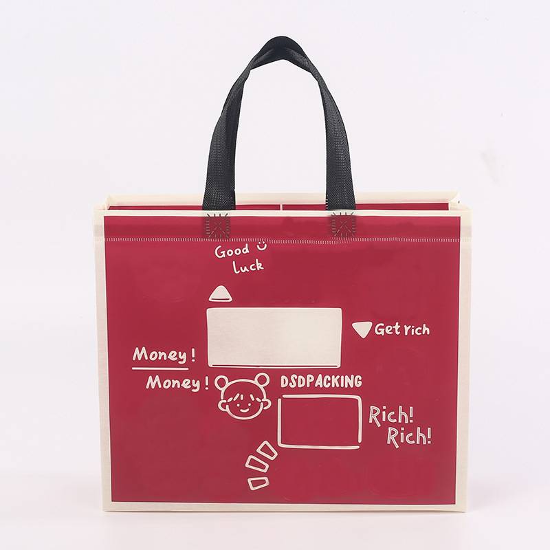 Custom logo laminated non-woven bag Malaysia