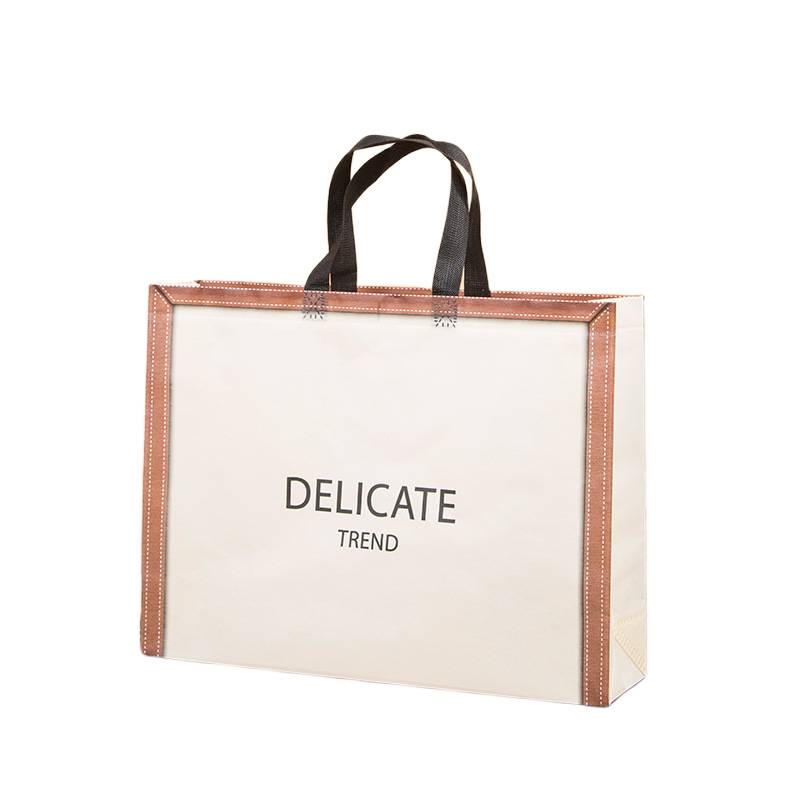 Custom size laminated non-woven bag