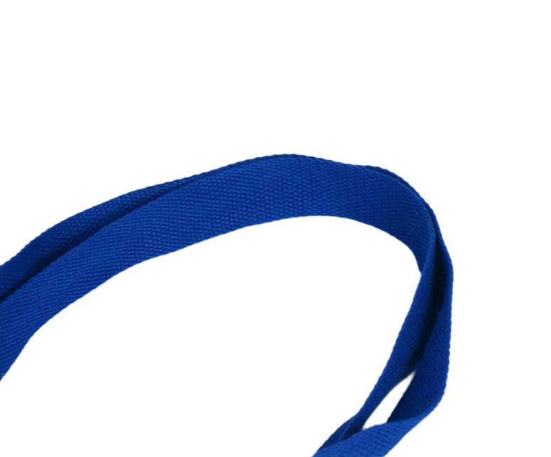 canvas bag coloured handle detail