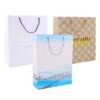 custom paper bag printing with logo Malaysia premium packaging bags
