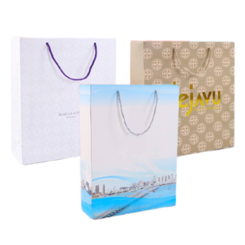 custom paper bag printing with logo Malaysia premium packaging bags