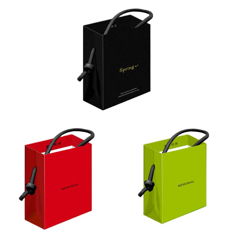 premium paper bag with custom logo luxury packaging malaysia