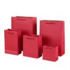 custom logo small paper bag for retail branding malaysia