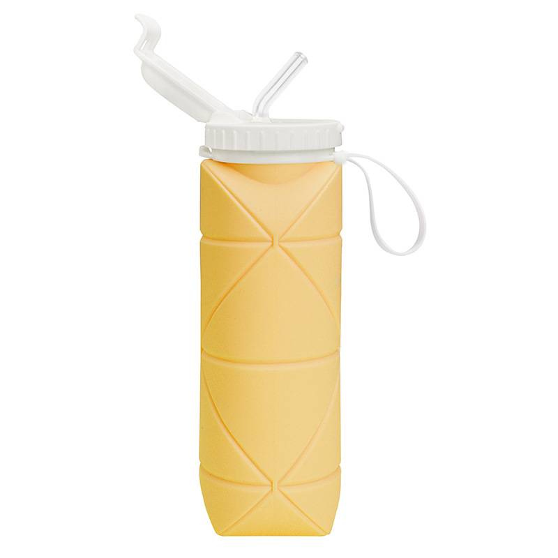 branded folding water bottle malaysia for corporate gifts