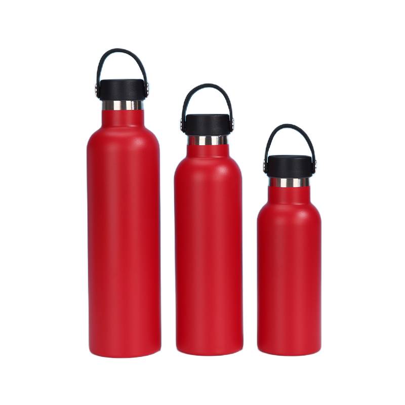 Insulated stainless steel bottle
