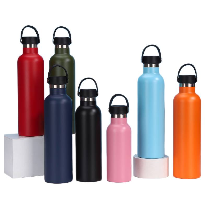 Stainless steel bottle with handle