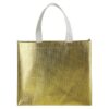 Metallic gift bag Malaysia