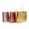 Corporate metallic non woven bag